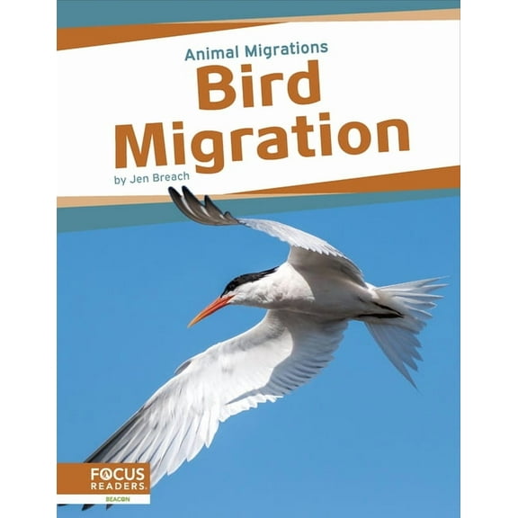 Bird Migration, (Paperback)