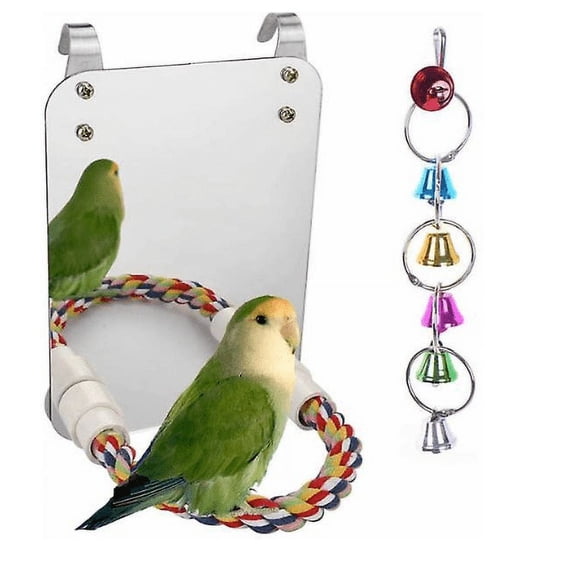 Bird Mirror Bird Toy