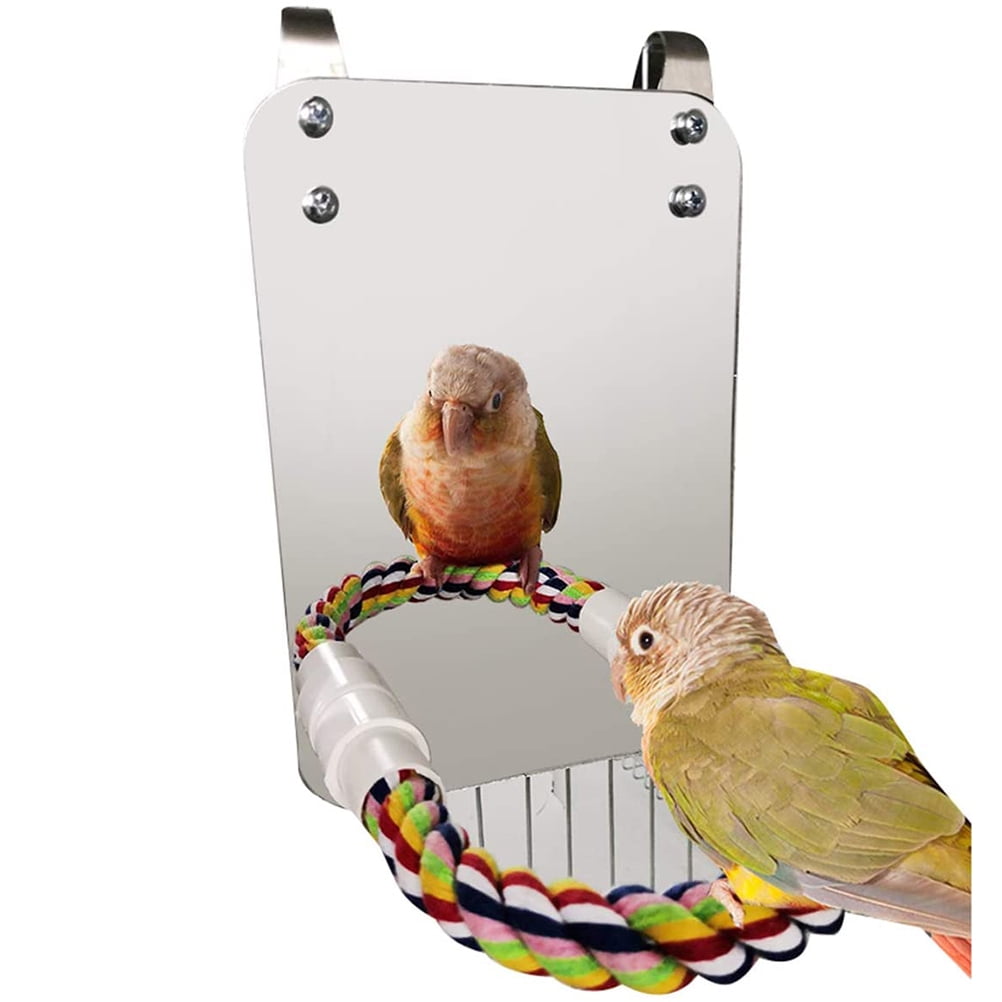 Picture of Bird Mirror Toy with Rope Mirror Perch Parrot Bite Toy Parrot Claw ...