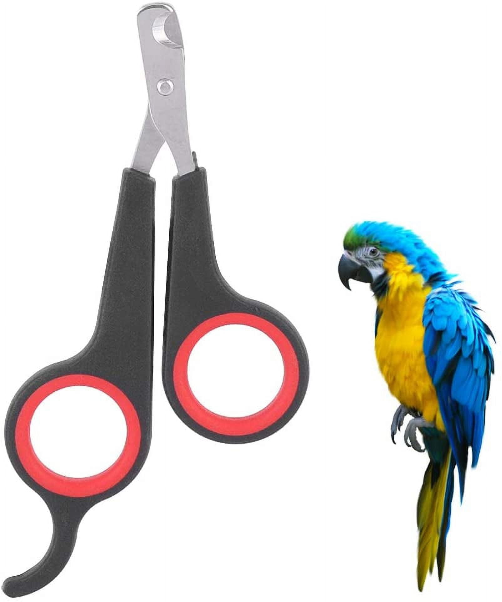 Bird Nail Clipper, Claw Trimmer Grooming Tool for Parrots Small Animals