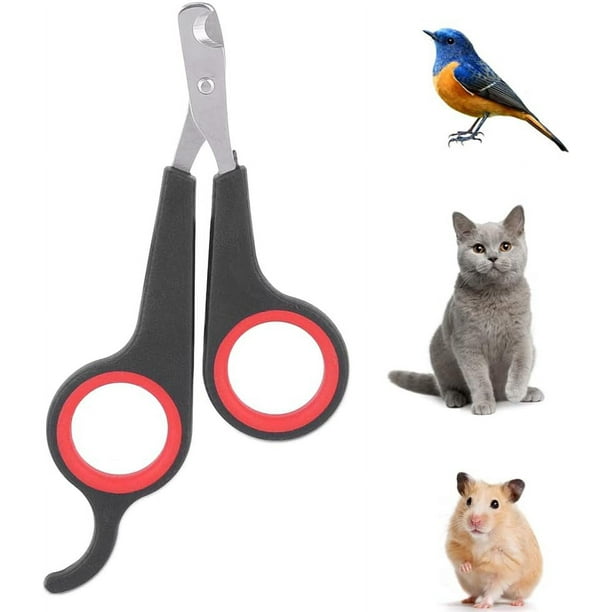Parrot nail clippers hotsell