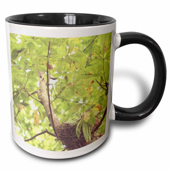 3drose, Bird Nest in Tree, 11oz Two-tone Black Mug