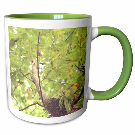 3drose, Bird Nest in Tree, 11oz Two-tone Green Mug