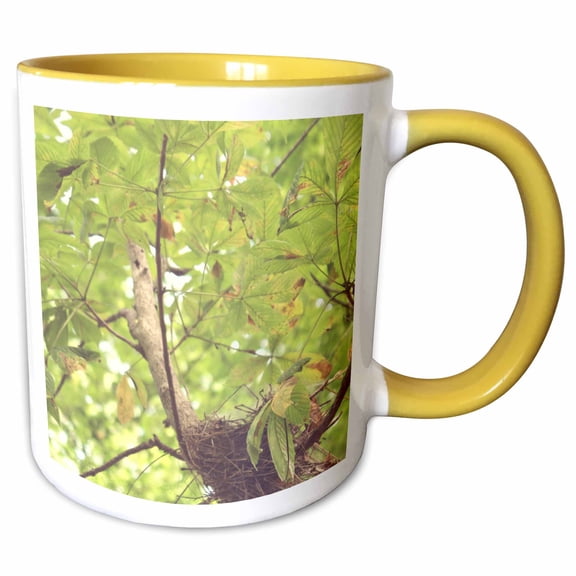 3drose, Bird Nest in Tree, 11oz Two-tone Yellow Mug
