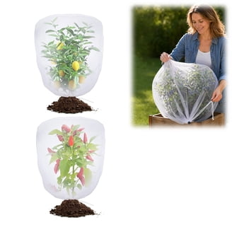 tobacco netting for blueberry bushes Easy DIY Bush Covers- The Kitchen Garten while still allowing light and air to reach the plants Blueberry Bush Protection Netting and