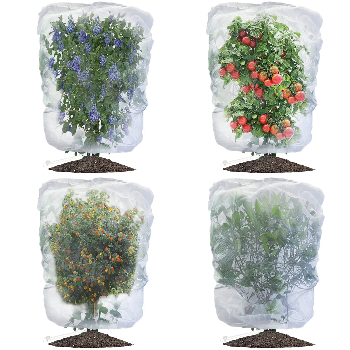 Bird Netting for Garden Blueberry Bushes Fruit Tree Netting Cover Plant Protection Mesh Bags with Drawstring, 4 Pack 2.6 x 2.6 ft Shrubs Bush Tomato Strawberry