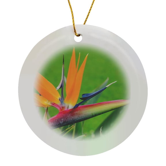 3drose, Bird of Paradise Flower, Waimea Valley, North Shore, Oahu, Hawaii., Circle Porcelain Ornament