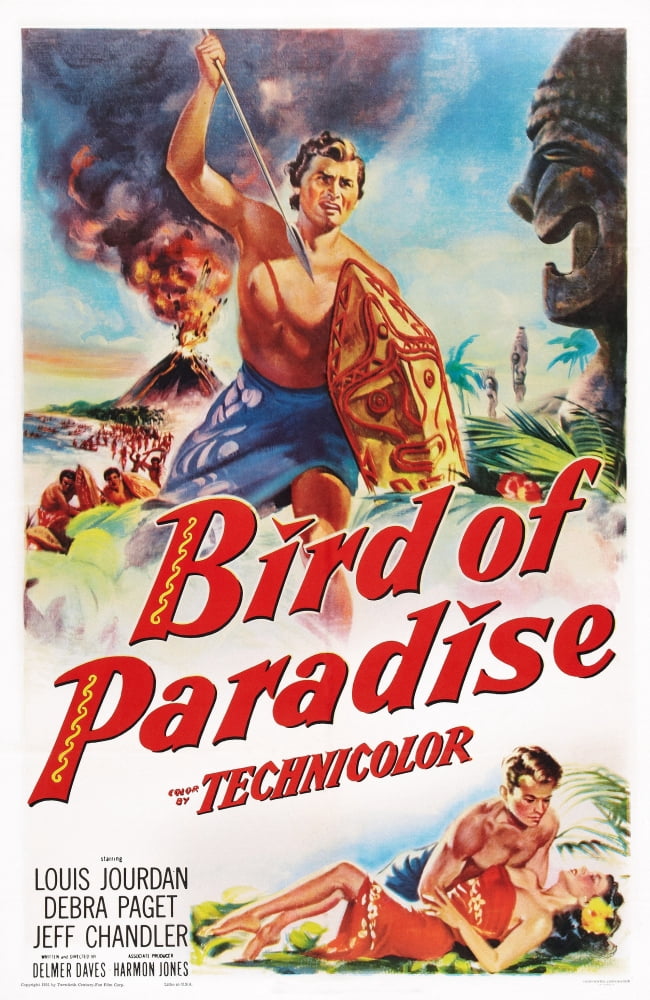 Bird Of Paradise U Canvas Art - (24 x 36)