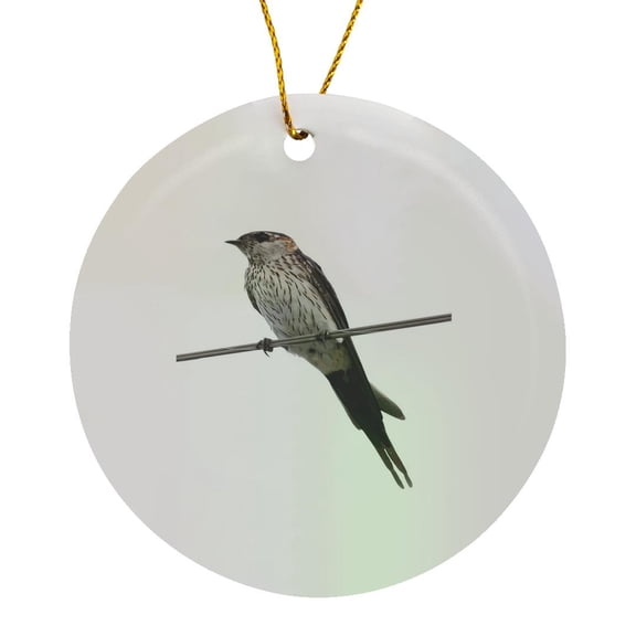 3drose, Bird on a Wire Red-rumped Swallow Vector Art, Circle Porcelain Ornament