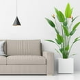 thumbnail image 1 of Bird of Paradise Artificial Plant with Flower, 5.2ft Tall Faux Bird of Paradise Plant with 2 Permanent Flower & 23 Realistic Leaves Tropical Greenary Plant for Home Office Living Room Decor, 1 of 6