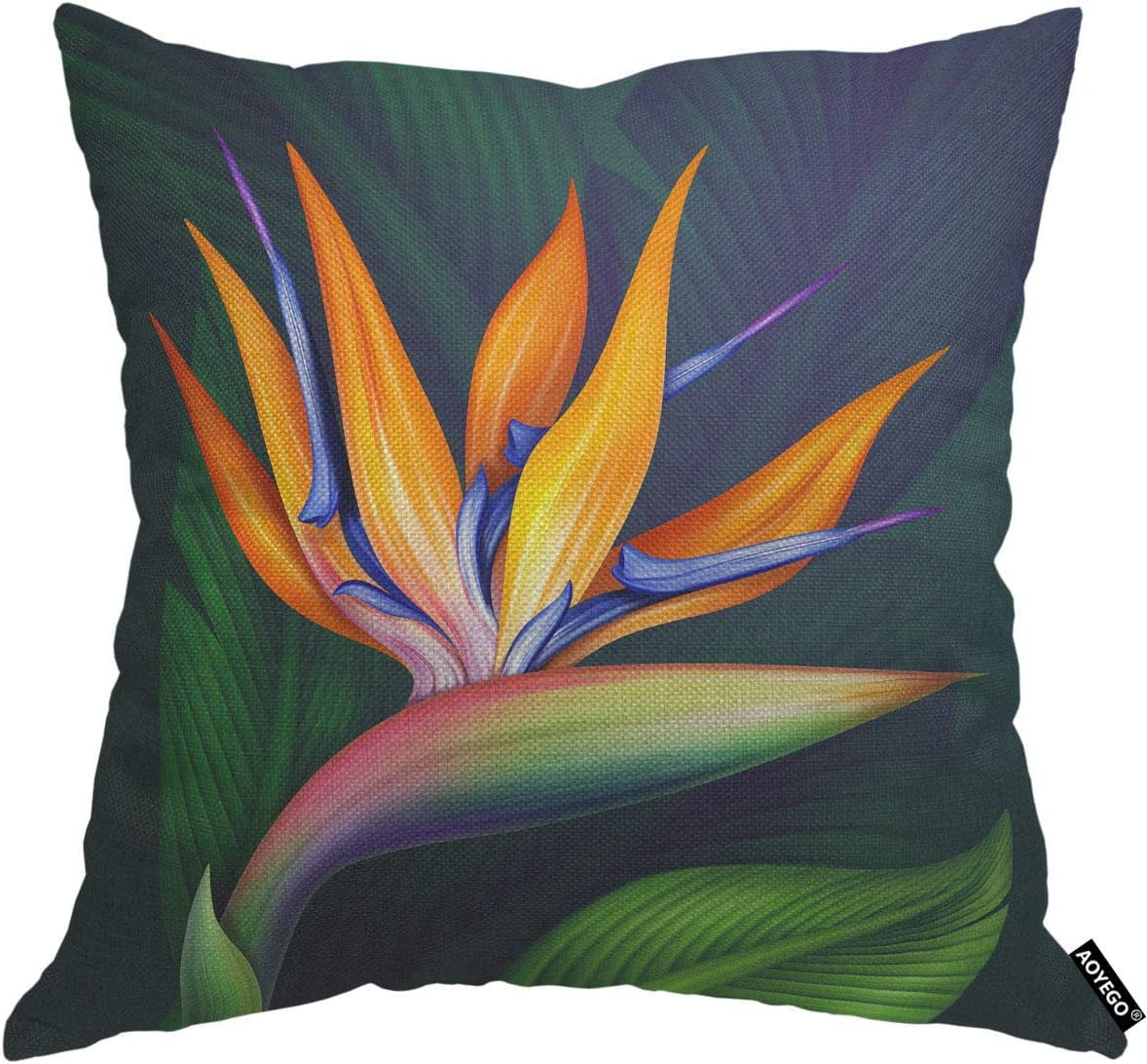 Bird of Paradise Throw Pillow Cover Strelitzia Botanical Floral Nature