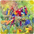 thumbnail image 1 of Bird - Parrot Foam Coasters - Set Of 4, 3.5 x 3.5 In., 1 of 1
