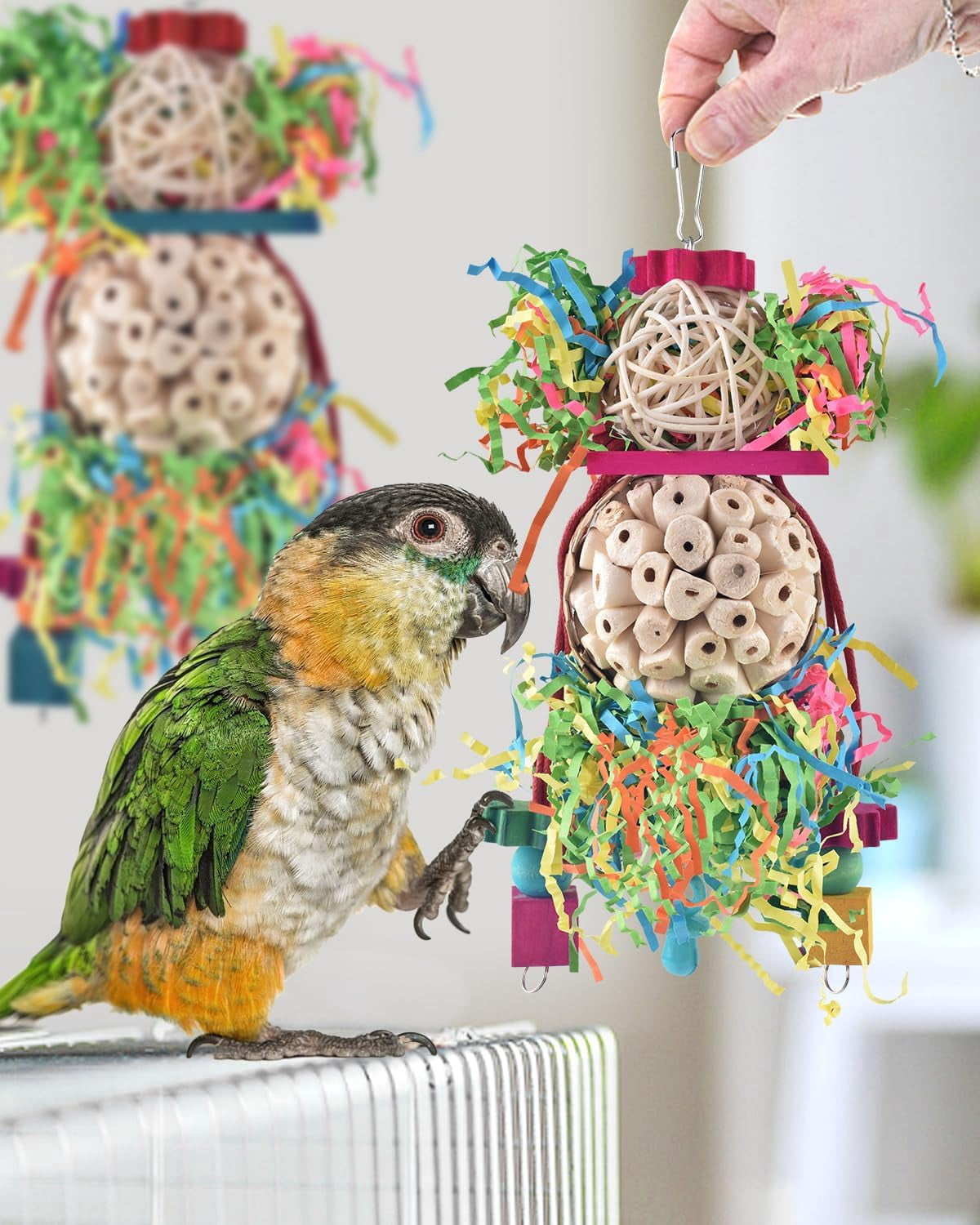 Bird Parrot Foraging Shredder Hanging Toys with Sola Balls and Pacifier