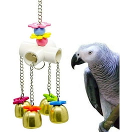 Bird Toys Snuggle Ring Toy Parrot Cotton Preening Grooming Ropes Colorful Hanging Swing for African Grey Small Cockatoos Random Walmart
