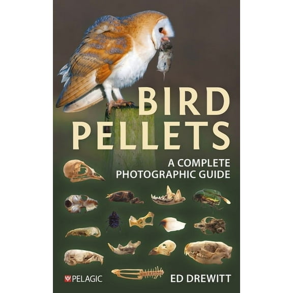 Bird Pellets : A Complete Photographic Guide (Paperback)