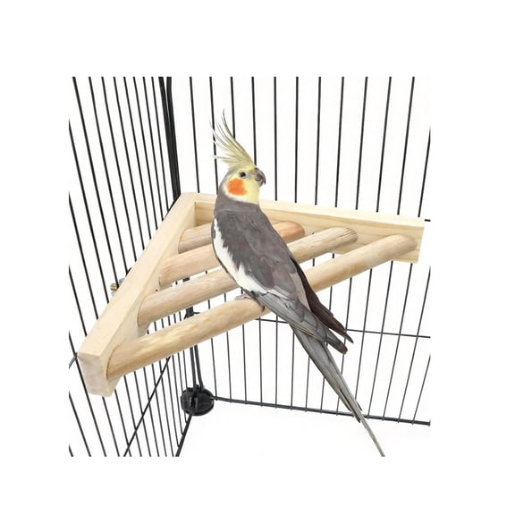 Bird Perch Corner Platform Stand Shelf for Birds Budgie Parakeet Cockatiel Conure Cockatoo