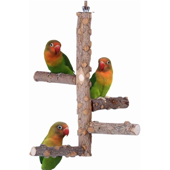 Bird Perch Nature Wood Stand for 3-4pcs Small Medium Parrots (S)