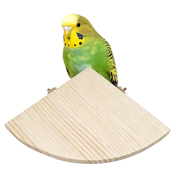 Bird Perch Platform Stand Wooden Parrot Perch Fan Shape Parrot Stand ...
