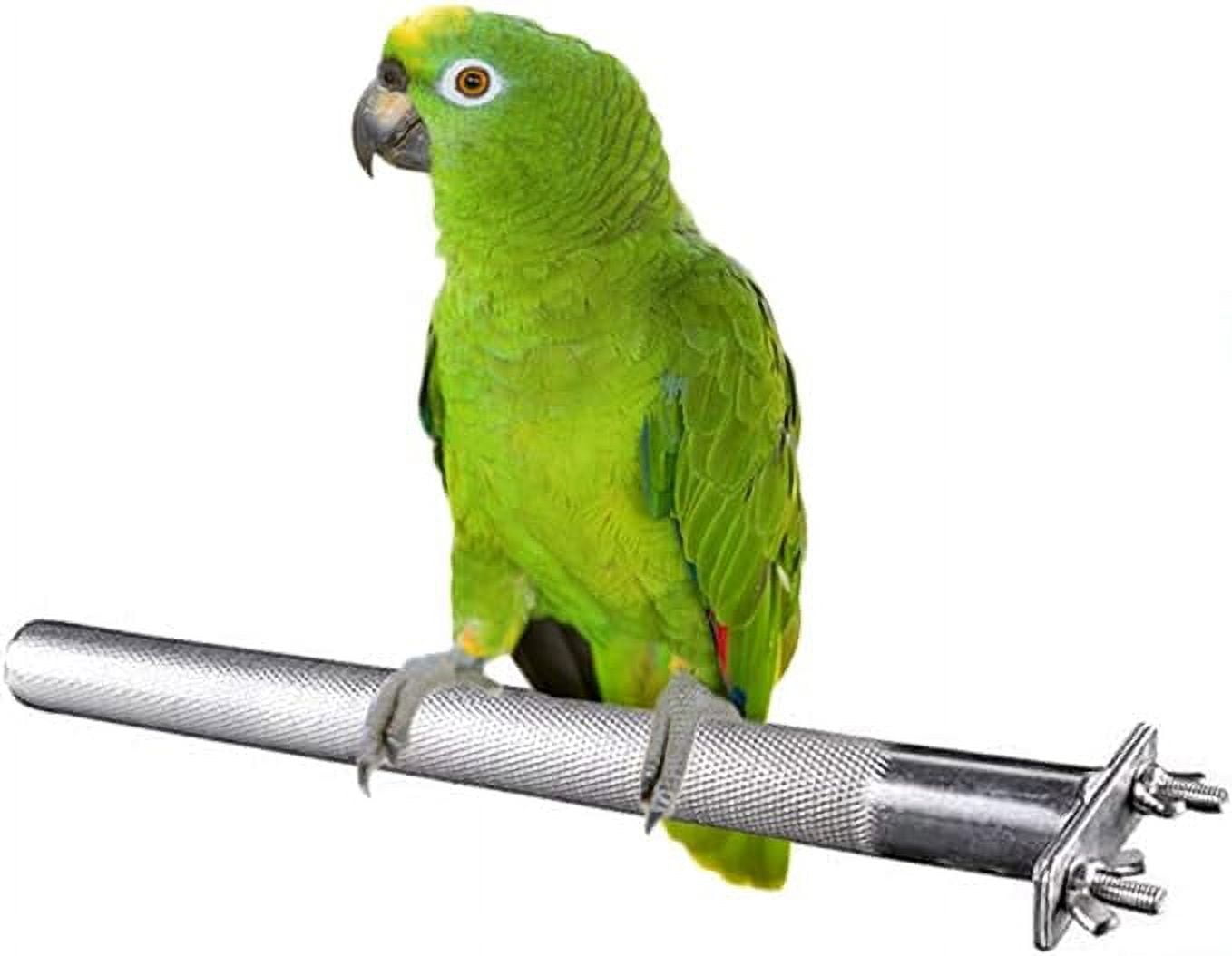 A closer look at Macaw Bird Cage Exercise Options