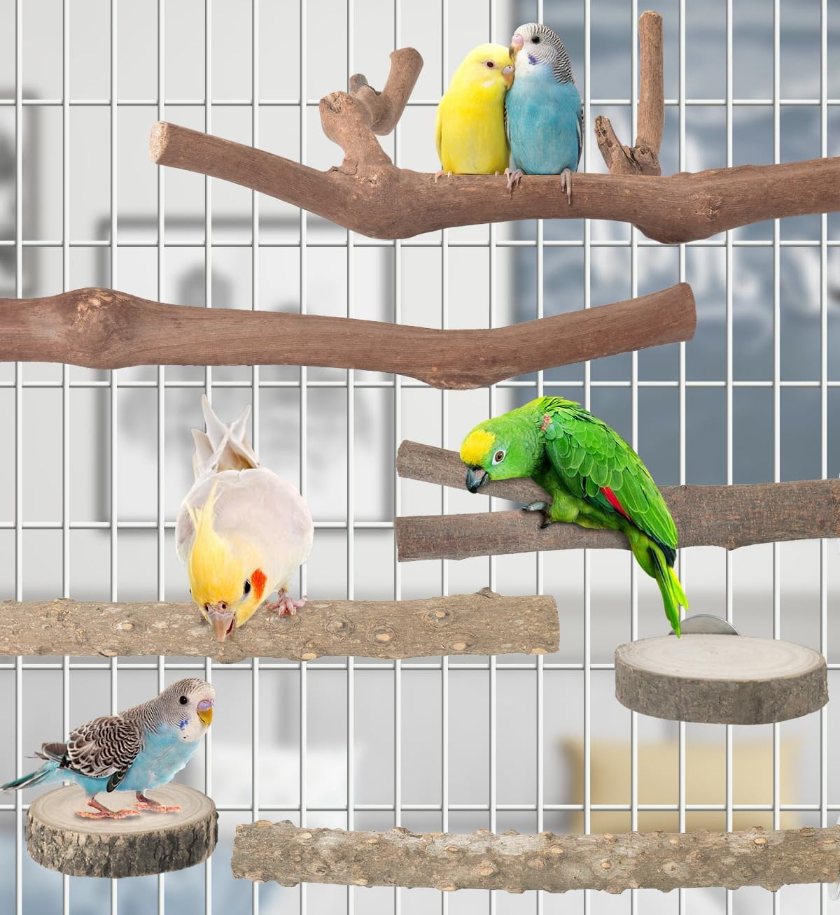 Bird Perch Stand, Natural Grape Wood Pole Standing Parrot Cage Branch ...