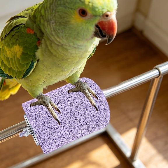 Bird Perch Stand Pet Bird Paw Grinding Perch Textured Grinding Stand Small Pet Cage Accessory for Small & Medium Parrots Budgies Self Grooming