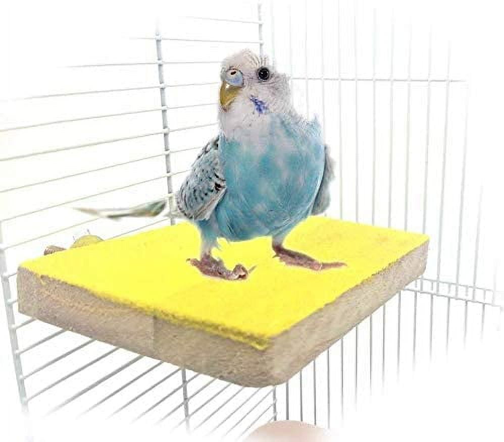 Bird Perch Stand Platform Natural Wood Playground Paw Grinding Clean ...
