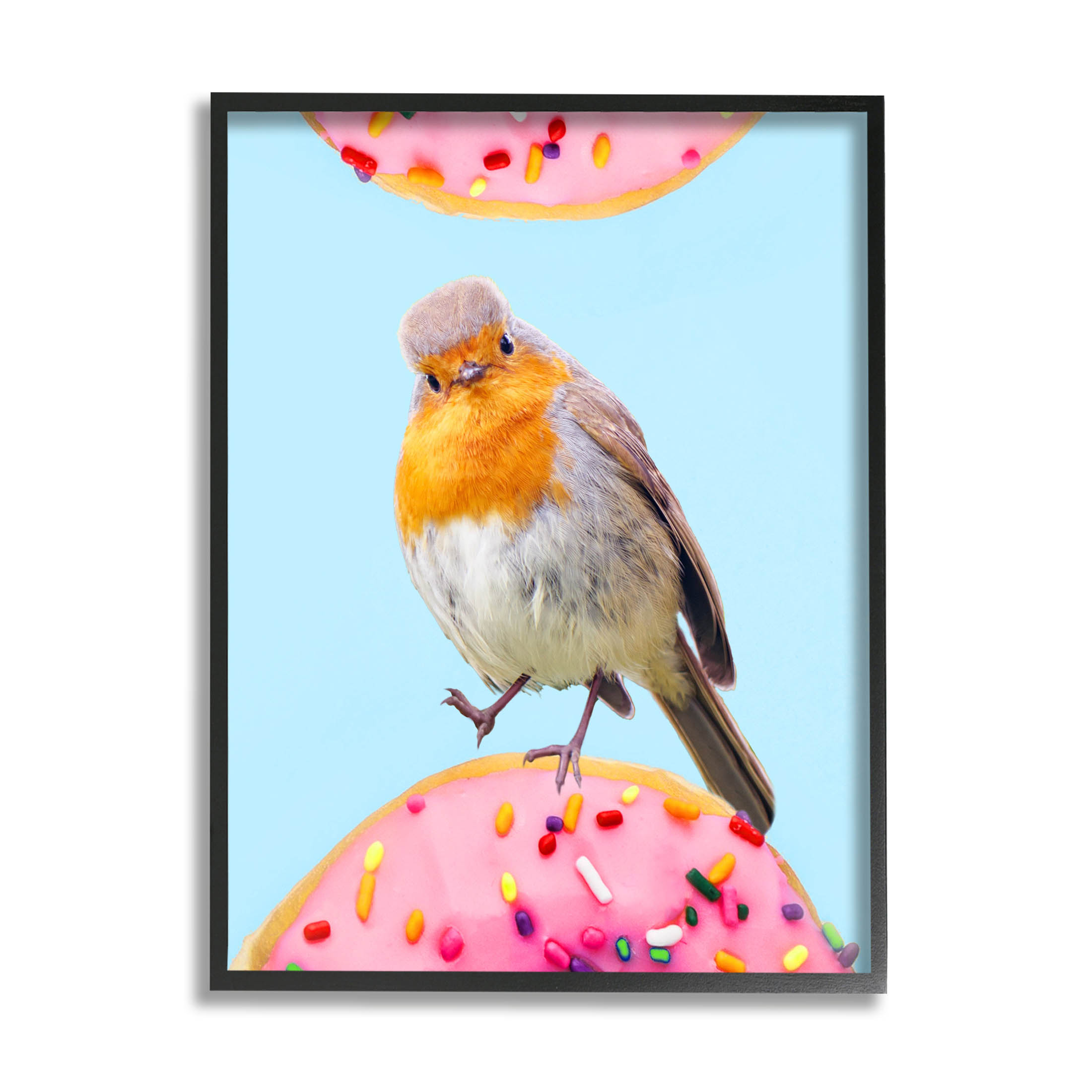 Bird Perched Sprinkled Donut Animals & Insects Graphic Art Black Framed Art Print Wall Art