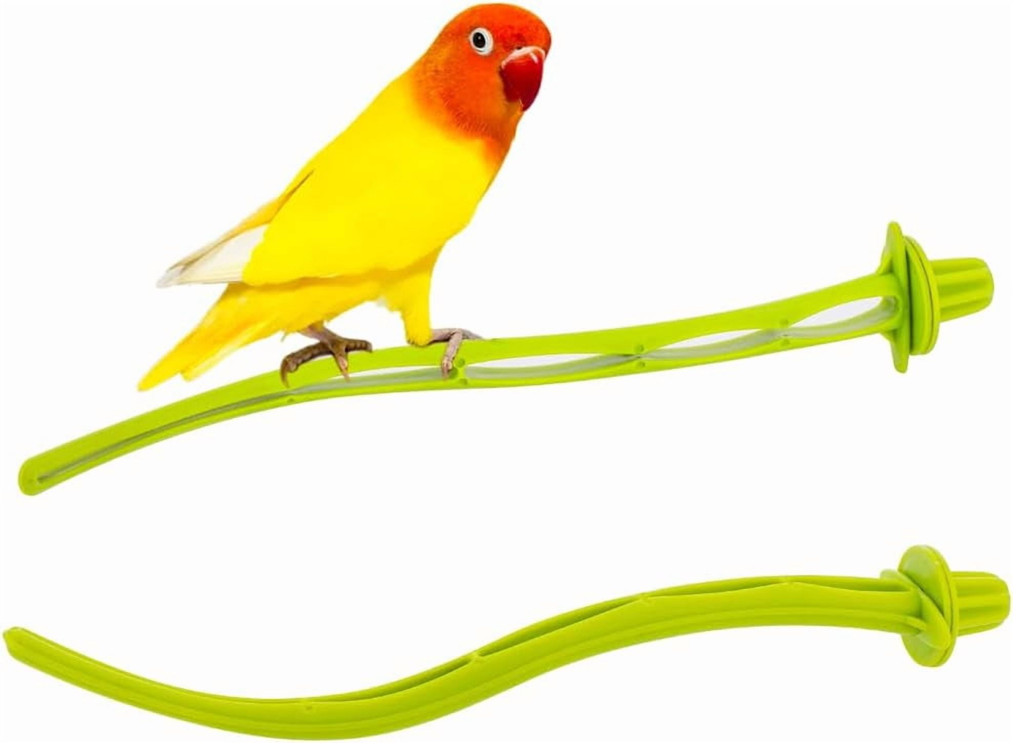 Pvc Bird Cage Toy Attachment Amazon Reference: Bird Perches Cage Universal Plastic Stand Stick Toy Holders Adaptable
