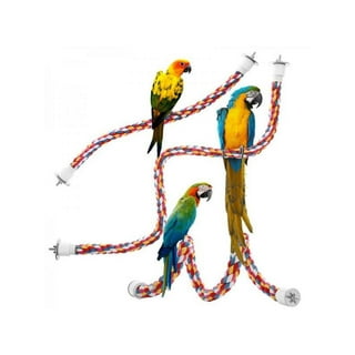 Bird Rope Swing Toy Parrot Climbing Perch Stand Natural Straw Rope Weaving  Round Toy For Cockatiel Conure Cockatoo Parakeet Cage Hanging Decor