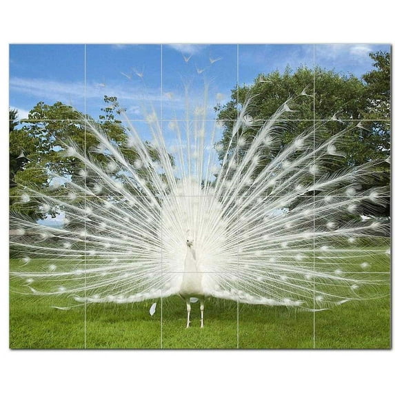 Bird Photo Ceramic Tile Mural Kitchen Backsplash Bathroom Shower, 404080-M54