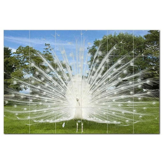 Bird Photo Ceramic Tile Mural Kitchen Backsplash Bathroom Shower, 404080-M64