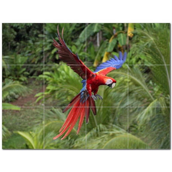 Bird Photo Ceramic Tile Mural Kitchen Backsplash Bathroom Shower 404082-XL43