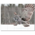 thumbnail image 1 of Bird Photo Ceramic Tile Mural Kitchen Backsplash Bathroom Shower, 404085-L54, 1 of 3