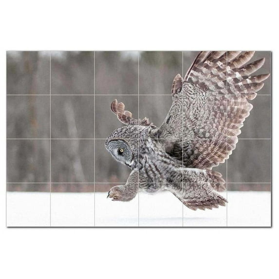 Bird Photo Ceramic Tile Mural Kitchen Backsplash Bathroom Shower, 404085-M64