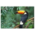 thumbnail image 1 of Bird Photo Ceramic Tile Mural Kitchen Backsplash Bathroom Shower, 404093-L64, 1 of 3