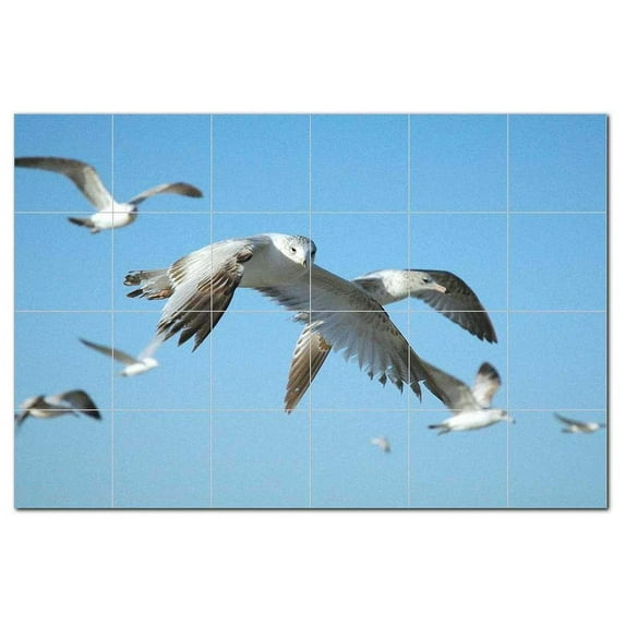 Bird Photo Ceramic Tile Mural Kitchen Backsplash Bathroom Shower, 404102-M64