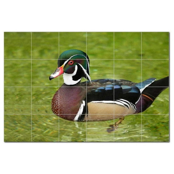 Bird Photo Ceramic Tile Mural Kitchen Backsplash Bathroom Shower, 404108-M64