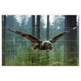 thumbnail image 1 of Bird Photo Ceramic Tile Mural Kitchen Backsplash Bathroom Shower, 404111-L64, 1 of 3
