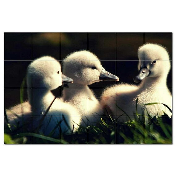 Bird Photo Ceramic Tile Mural Kitchen Backsplash Bathroom Shower, 404114-L64