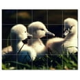 thumbnail image 1 of Bird Photo Ceramic Tile Mural Kitchen Backsplash Bathroom Shower, 404114-M54, 1 of 3