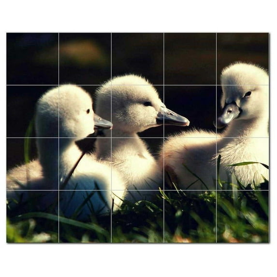 Bird Photo Ceramic Tile Mural Kitchen Backsplash Bathroom Shower, 404114-M54