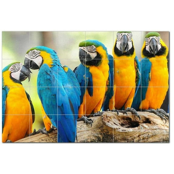 Bird Photo Ceramic Tile Mural Kitchen Backsplash Bathroom Shower, 404115-XL64