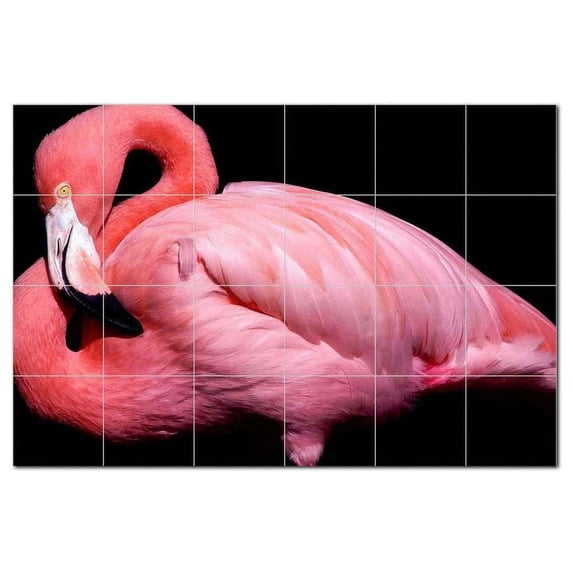 Bird Photo Ceramic Tile Mural Kitchen Backsplash Bathroom Shower, 404116-L64