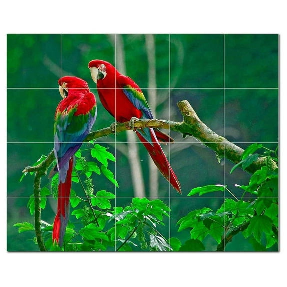 Bird Photo Ceramic Tile Mural Kitchen Backsplash Bathroom Shower, 404117-L54