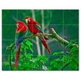 thumbnail image 1 of Bird Photo Ceramic Tile Mural Kitchen Backsplash Bathroom Shower, 404117-M54, 1 of 3