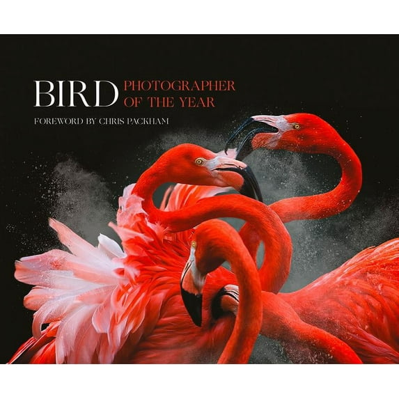 Bird Photographer of the Year: Collection 3, (Hardcover)