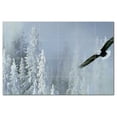 thumbnail image 1 of Bird Picture Ceramic Tile Mural Kitchen Backsplash Bathroom Shower, 404138-XL64, 1 of 3