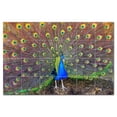 thumbnail image 1 of Bird Picture Ceramic Tile Mural Kitchen Backsplash Bathroom Shower, 404141-M64, 1 of 3
