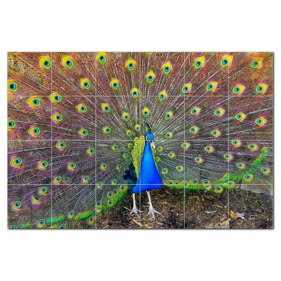 Bird Picture Ceramic Tile Mural Kitchen Backsplash Bathroom Shower, 404141-M64