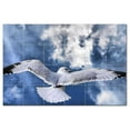 thumbnail image 1 of Bird Picture Ceramic Tile Mural Kitchen Backsplash Bathroom Shower, 404153-L64, 1 of 3